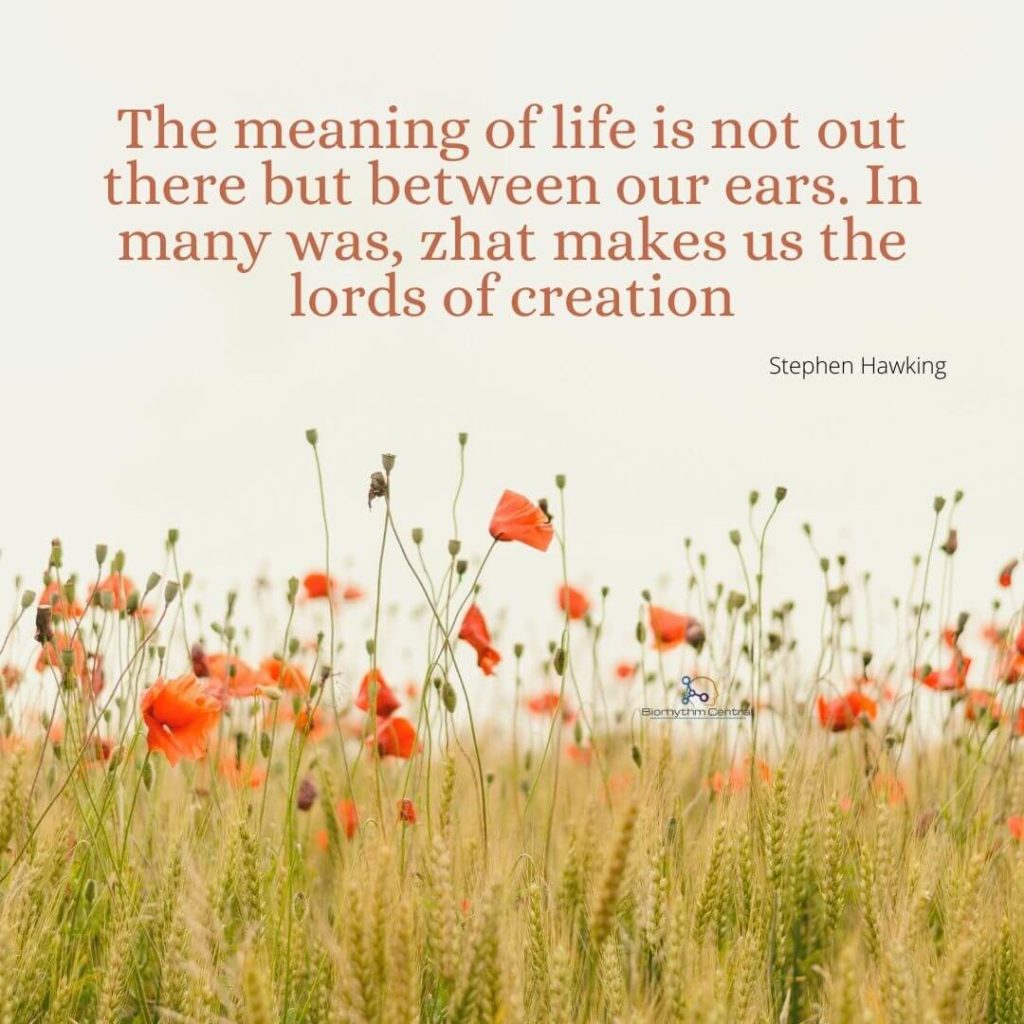 meaning of life quotes