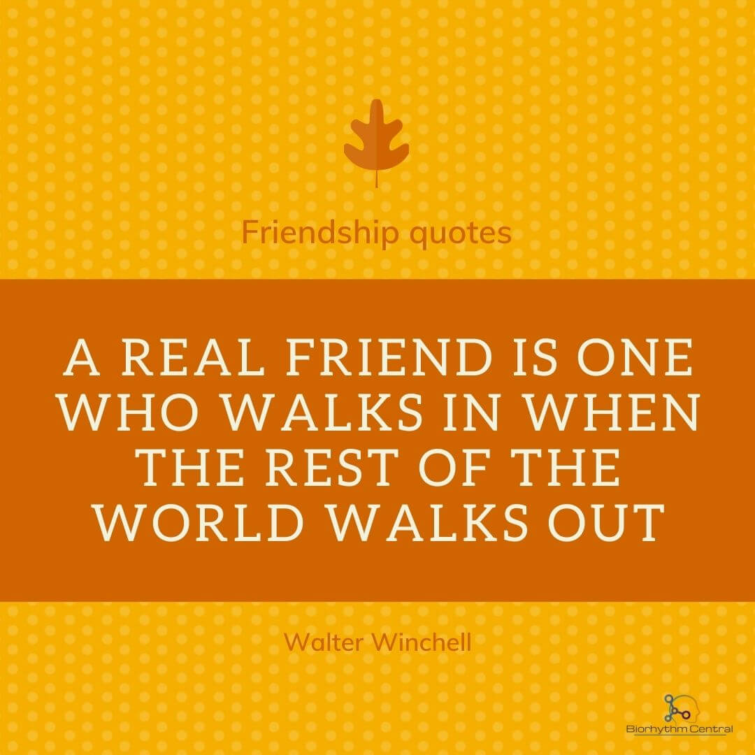 44 outstanding friendship quotes for good friends and BFFs